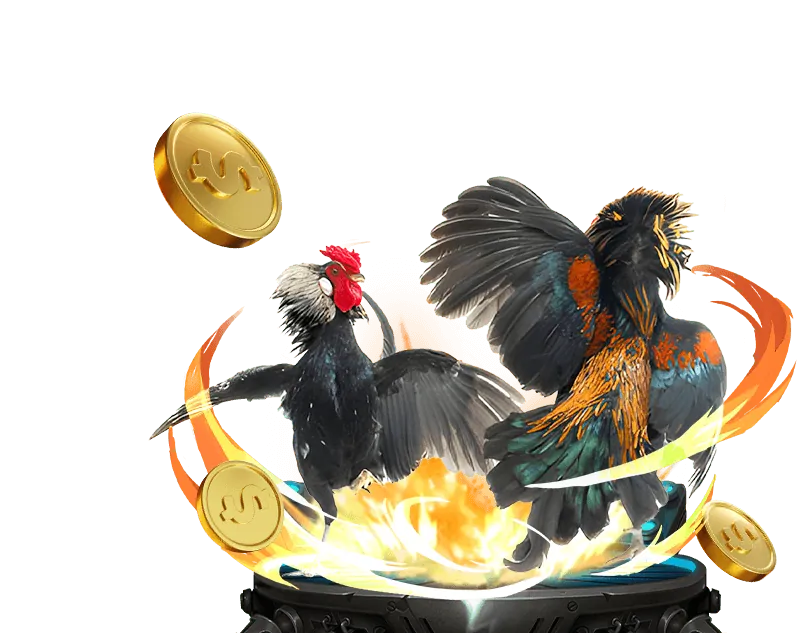 Đá Gà và Xổ Số